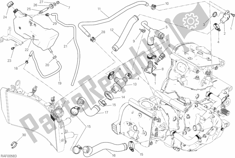 All parts for the Cooling System of the Ducati Monster 1200 25 TH Anniversario USA 2019